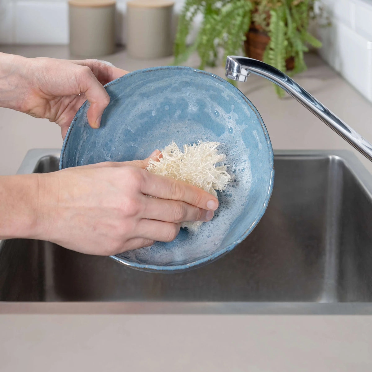 Naturlig Loofah Oppvasksvamp