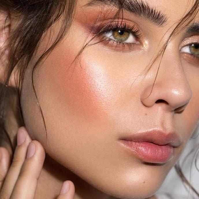 Highlighter Powder Champagne | PuroBio