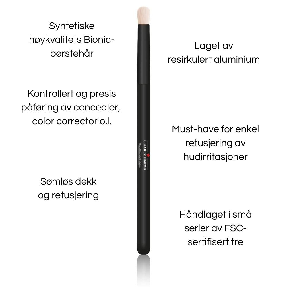 Spot Eraser Brush