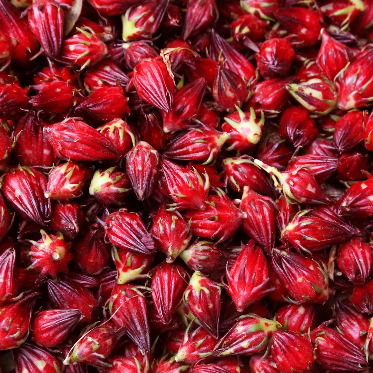 Økologisk Hibiskusolje | Comptoir des Huiles