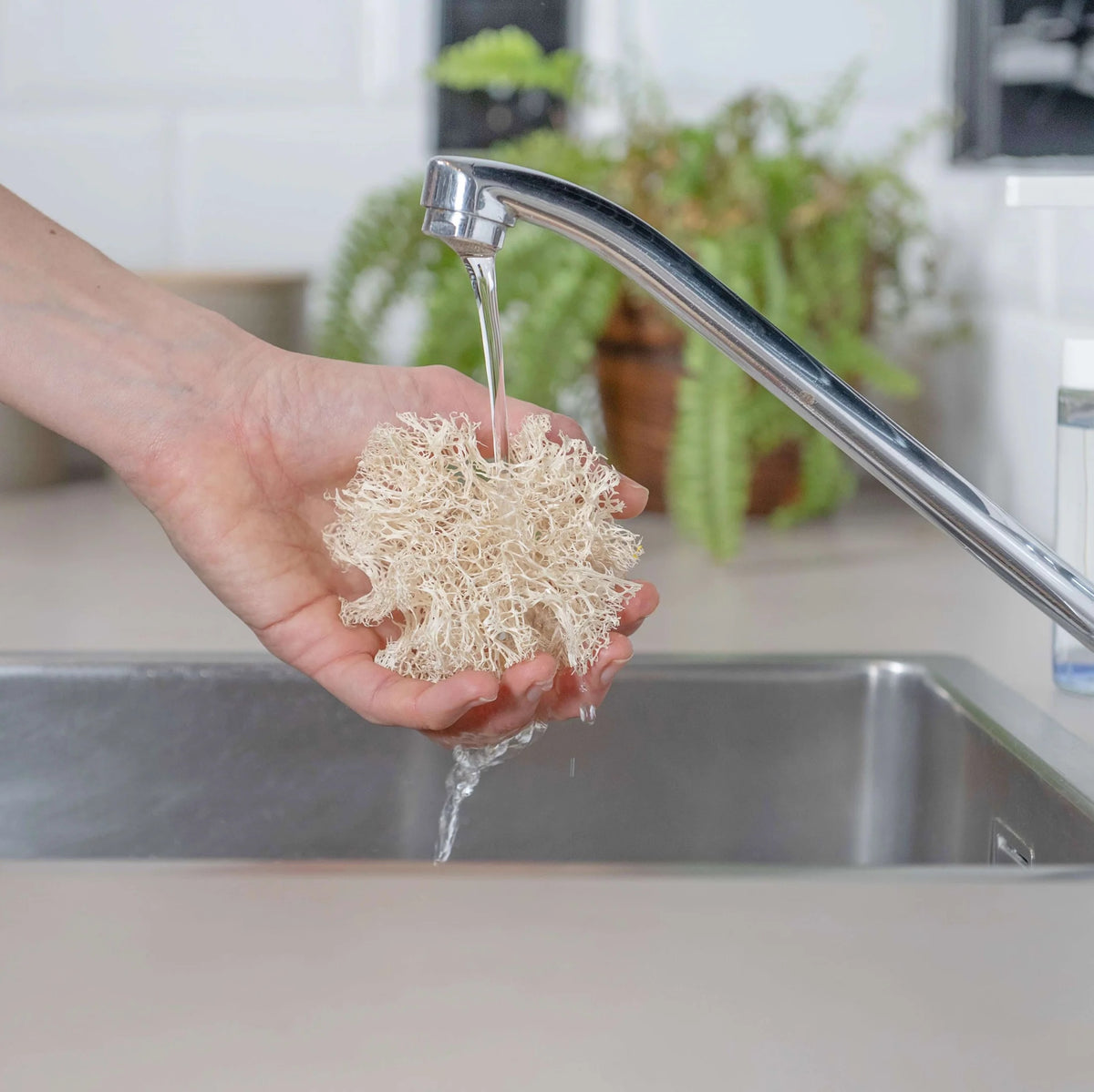Naturlig Loofah Oppvasksvamp