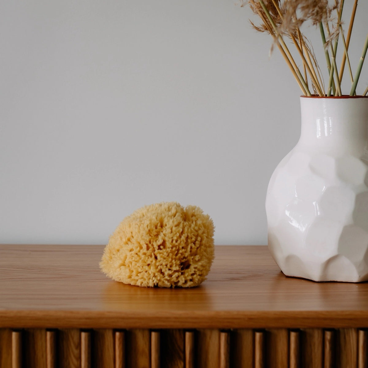 Naturlig Havsvamp | Croll & Denecke