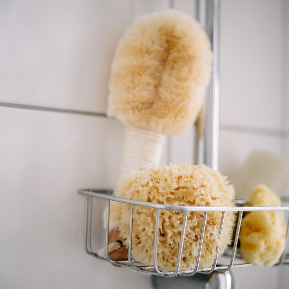 Naturlig Havsvamp | Croll & Denecke